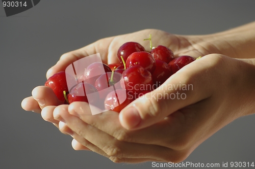 Image of Hand with fruit