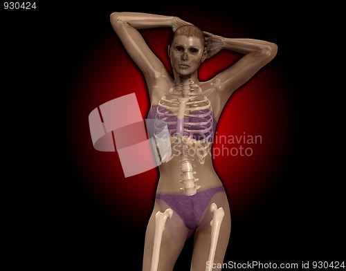 Image of X Ray Women