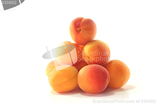Image of apricots