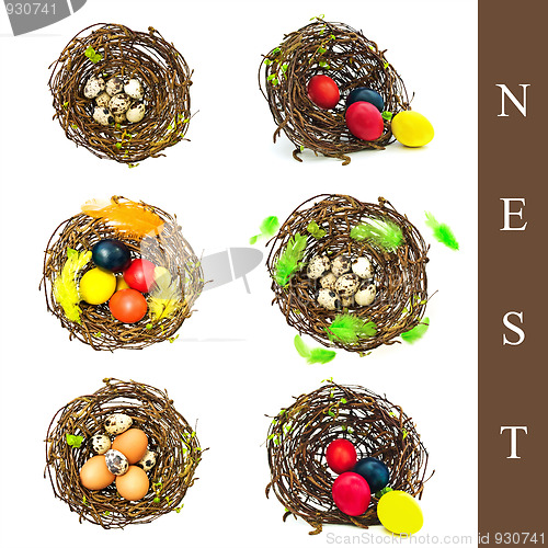 Image of nest with different eggs