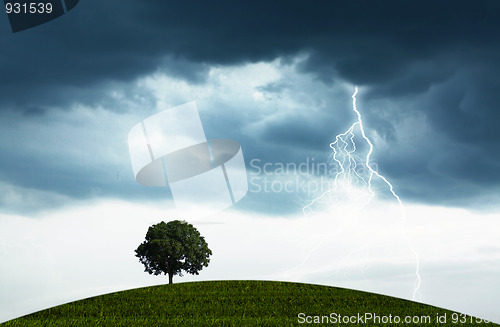 Image of Storm and tree