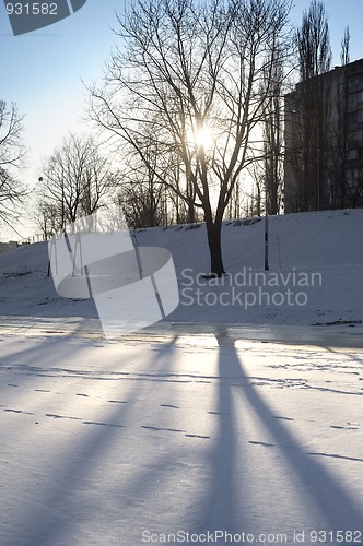 Image of Winter in the city