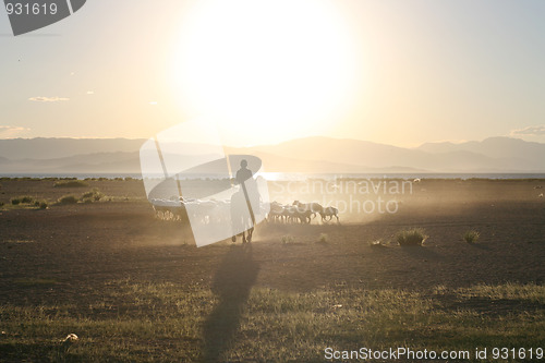 Image of Mongolia