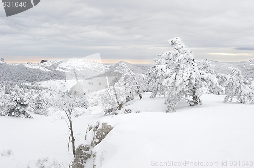 Image of Winter Scenics