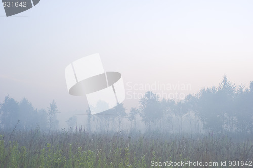 Image of Morning fog 