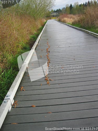 Image of Boardwalk Through Wetlands