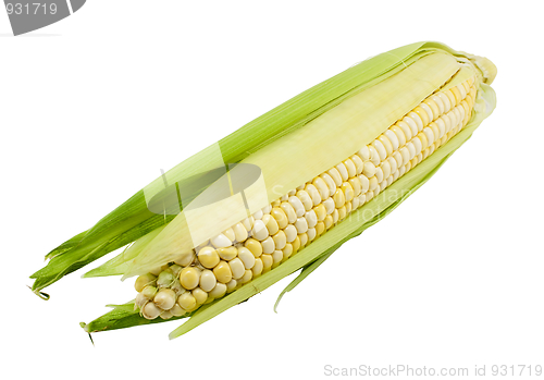 Image of Fresh corn