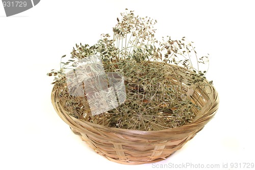 Image of Dill seeds