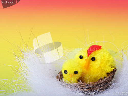 Image of Easter chicks on the color background