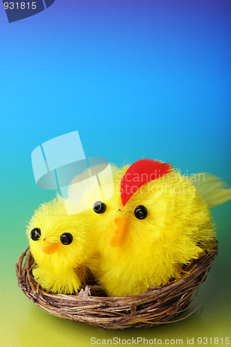 Image of Easter chicks on blue background  