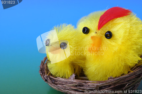 Image of Easter chicks on blue background