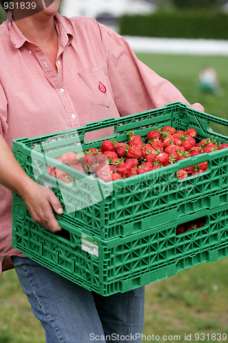 Image of Strawberry