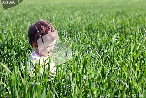 Image of baby in high green grass