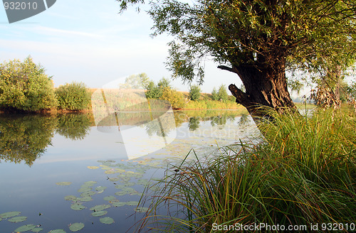 Image of summer lake