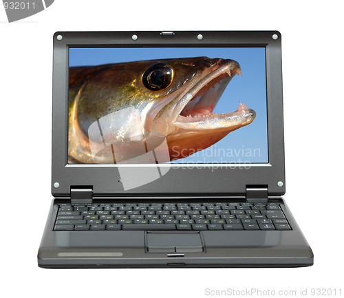 Image of small laptop with fishing themes
