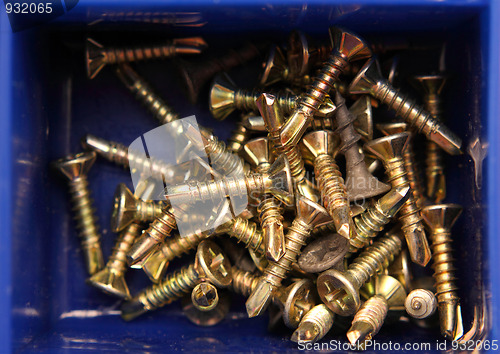Image of little screws in box