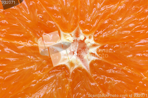 Image of orange citrus fruit section