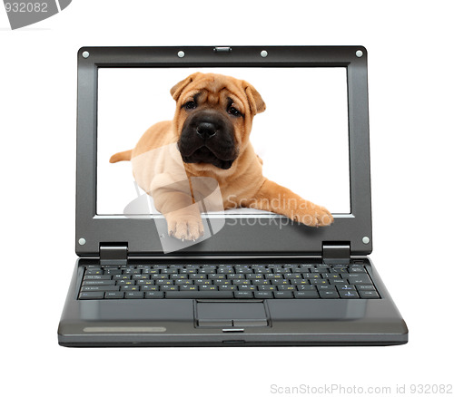 Image of small laptop with puppy dog