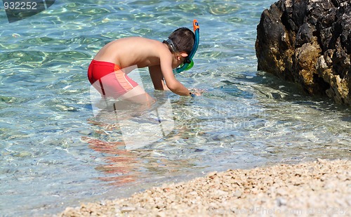 Image of Young boy with snorkel hunts crabs and sea star in clear sea