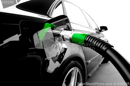 Image of Green Gasoline