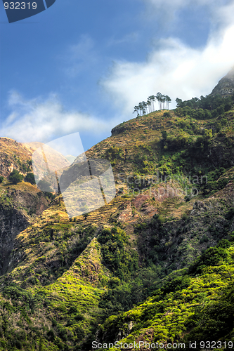 Image of Back mountains of Madeira island, view from Ribeira da Serra – Portugal