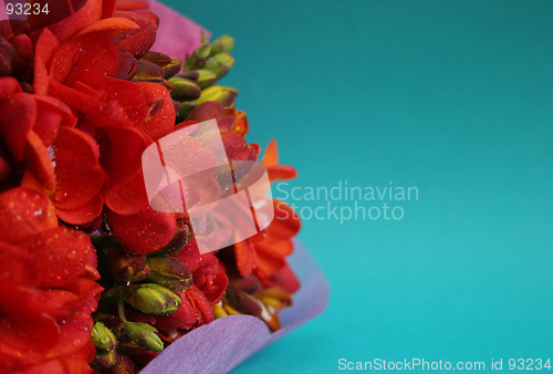 Image of Flowers for a special day