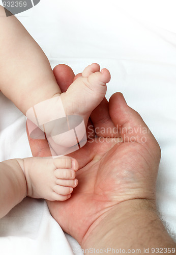 Image of baby foots on father palm