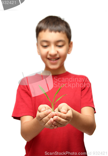 Image of happy boy holding plant in hands