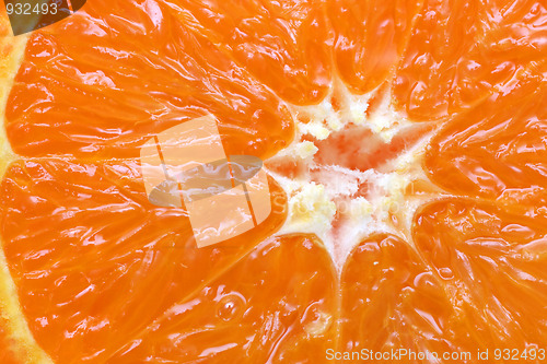 Image of orange citrus fruit section