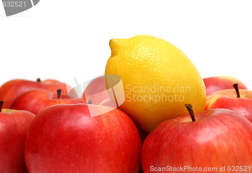 Image of different concepts with fruits