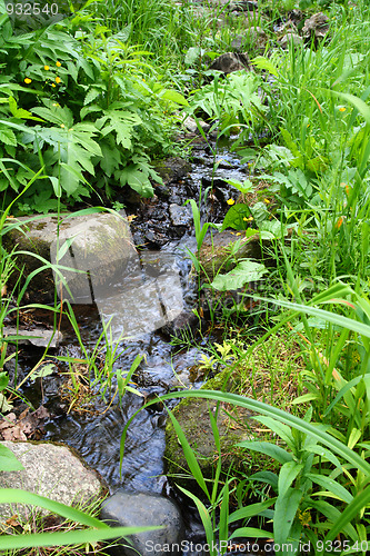 Image of small woodland stream