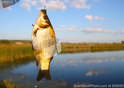 Image of catching crucian on lake background