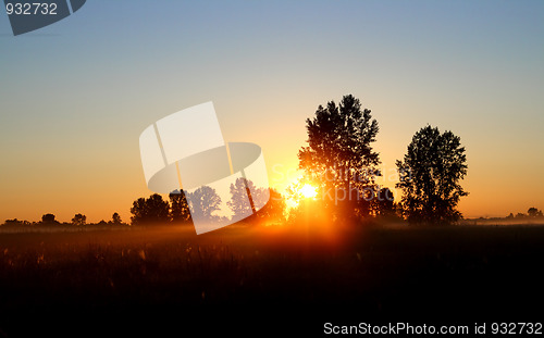 Image of field with trees in dusk with sunset