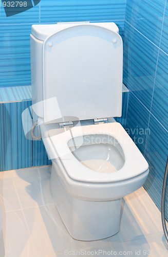 Image of lavatory pan