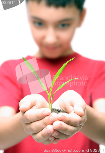 Image of boy holding plant in hands