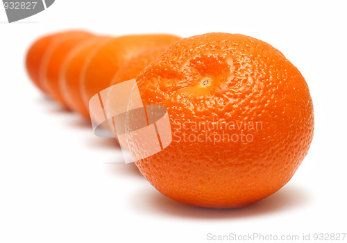 Image of mandarins in row