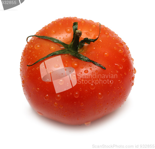 Image of ripe tomato with water drops