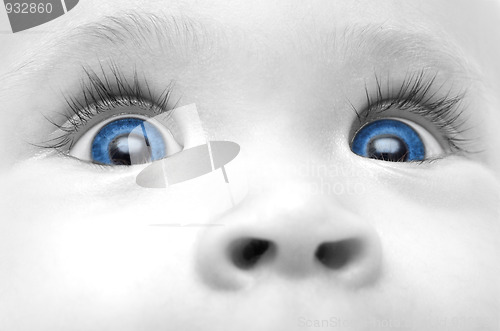 Image of baby blue eyes