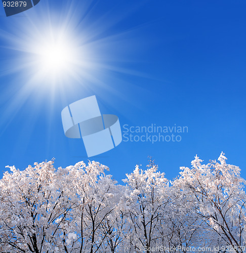 Image of background with ice winter woods