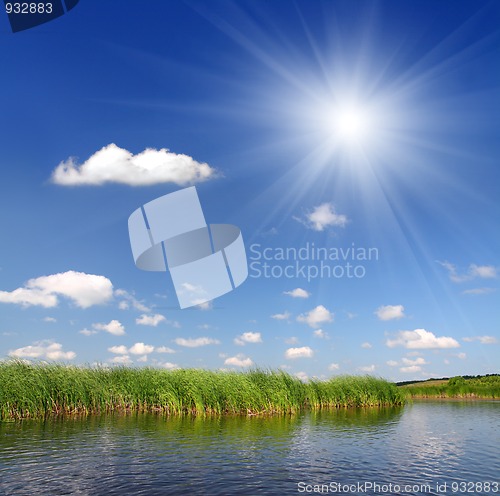 Image of summer pond