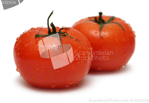 Image of two ripe tomato with water drops