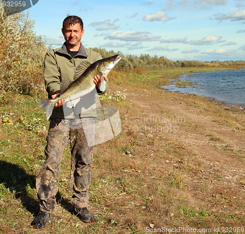 Image of fishing man with big zander fish