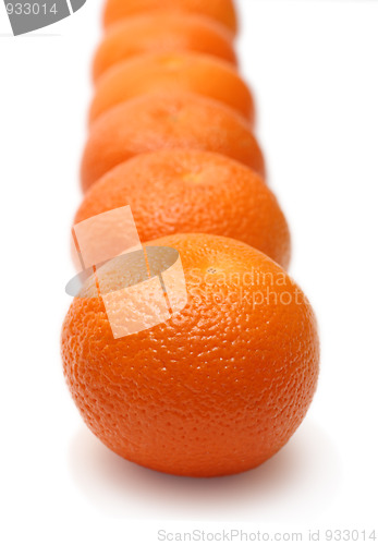 Image of mandarins in row