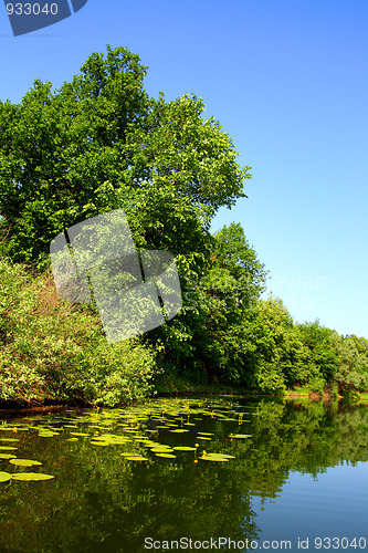 Image of beauty summer lake landscape