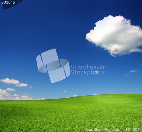 Image of green hill with wheat under blue sky