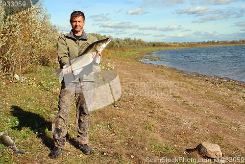 Image of fishing man with big zander fish