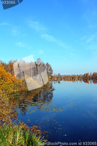 Image of vertical autumn lake landscape