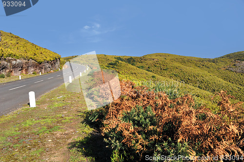 Image of Road in Plateau of Parque natural de Madeira, Madeira island,  Portugal