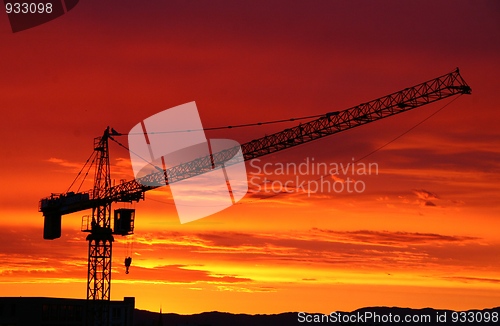 Image of Crane in sunset