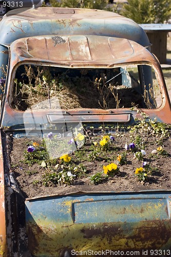 Image of Car flowerbed